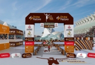 10K, carrera a tu medida junto al maratón DPV