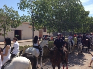 Valencia Caballo 2013 llena de vida equina el cauce del río e inaugura la ruta ecuestre más grande de Europa