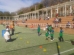 100 escolares de siete colegios protagonizaron la Miniolimpiada
